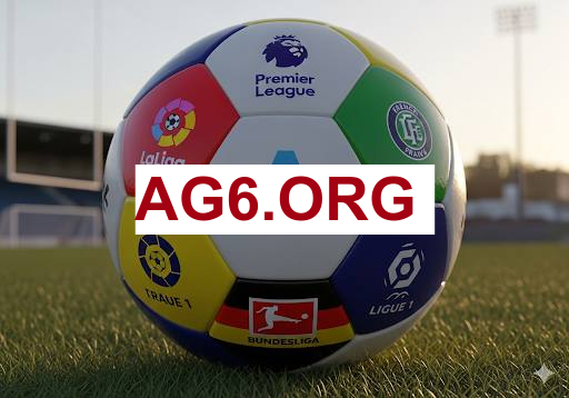 vivo钱包手机界面展示